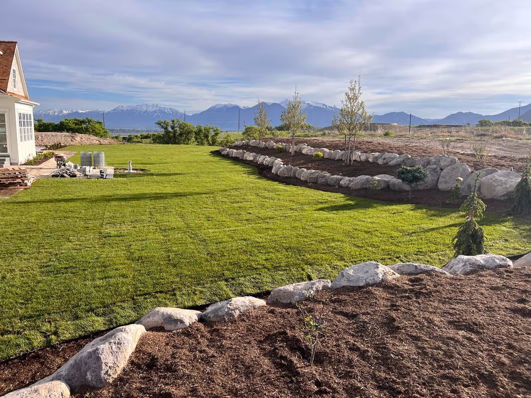 Healthy lawn
